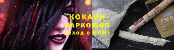 дурь Лабытнанги