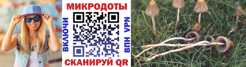 Псилоцибиновые грибы Magic Shrooms Лукоянов